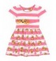 Paw Patrol Girls Skye Dress