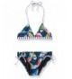 Splendid Farmhouse Reversible Triangle Swimsuit