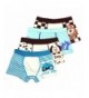 Bella Gemma Boxer Distinctive Assorted