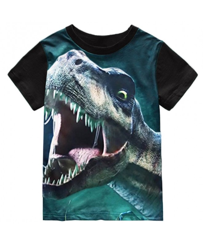 Toddler Sleeve T Shirts Dinosaur Cotton