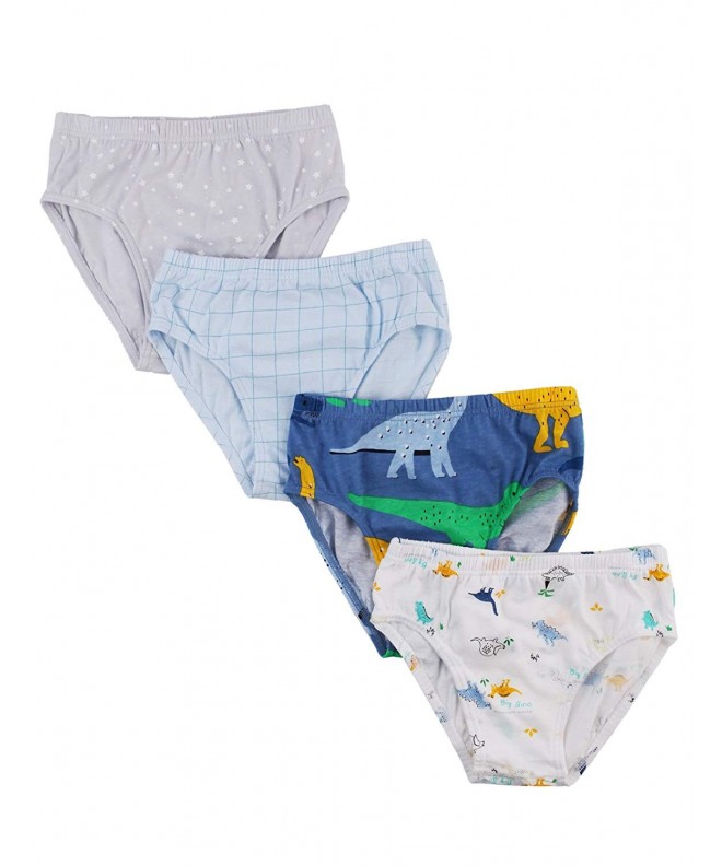UniFriend Boys Assorted Briefs 4 Pack Tyranno