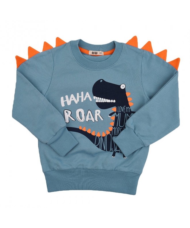 interming Toddler Dinosaur Sweatshirt Pullover