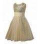 New Trendy Girls' Special Occasion Dresses